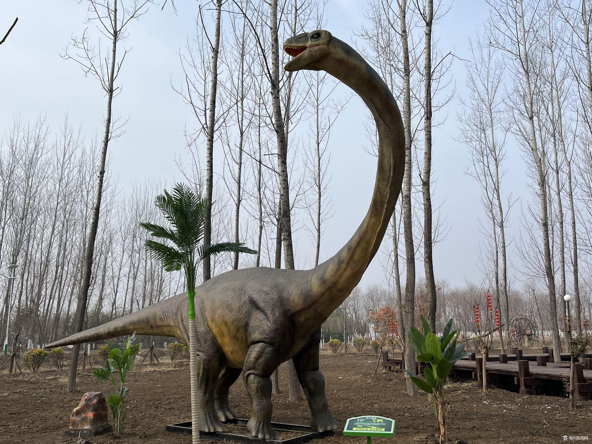 亳州林拥城恐龙园位置图片