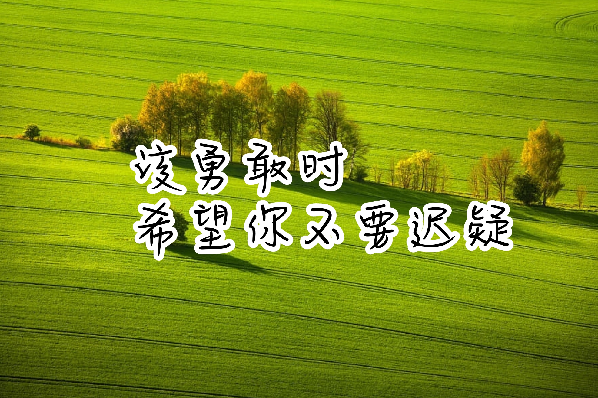 今日份的绿色系温柔治愈文案,不开心的时候说给自己听