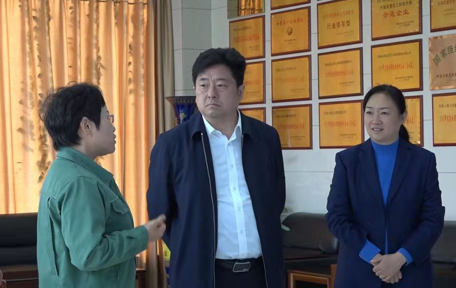 市委常委,市纪委书记,市监委主任张浩带队到新乡县调研