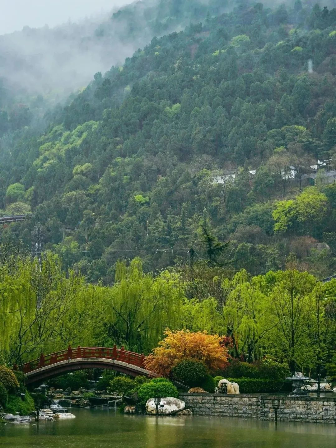 云遮雾绕,水墨山间,邂逅不一样秦岭的美景!