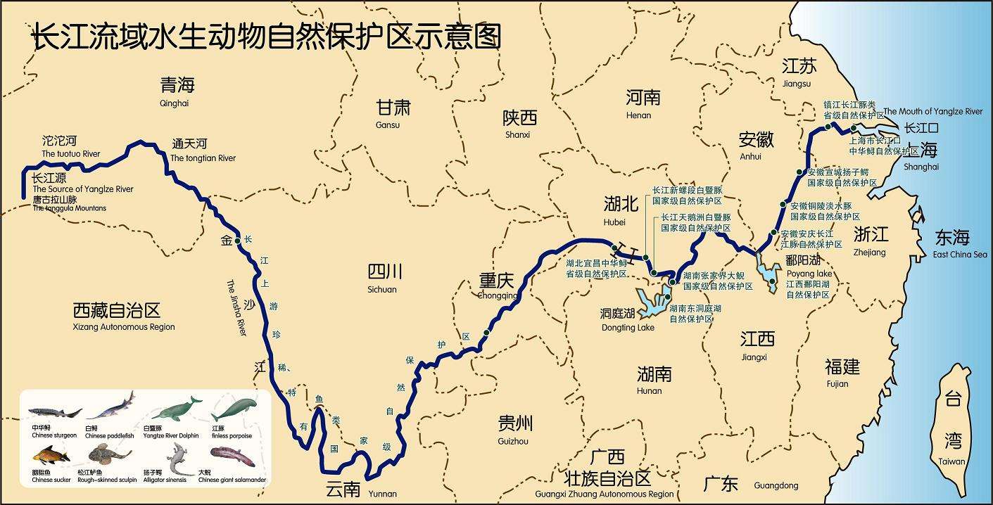 长江流经哪几个省份图片
