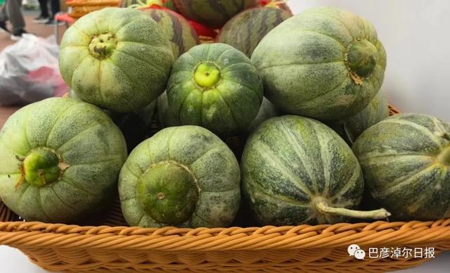 国家地理标志产品探秘①|五原"灯笼红",藏不住的好香瓜