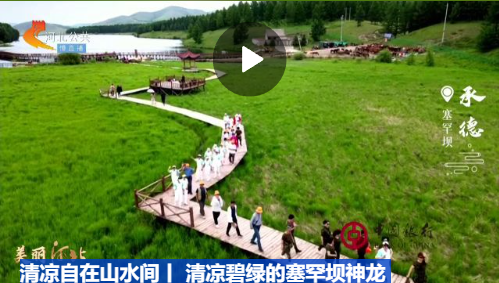 清凉自在山水间丨 清凉碧绿的塞罕坝神龙潭,太解暑啦!