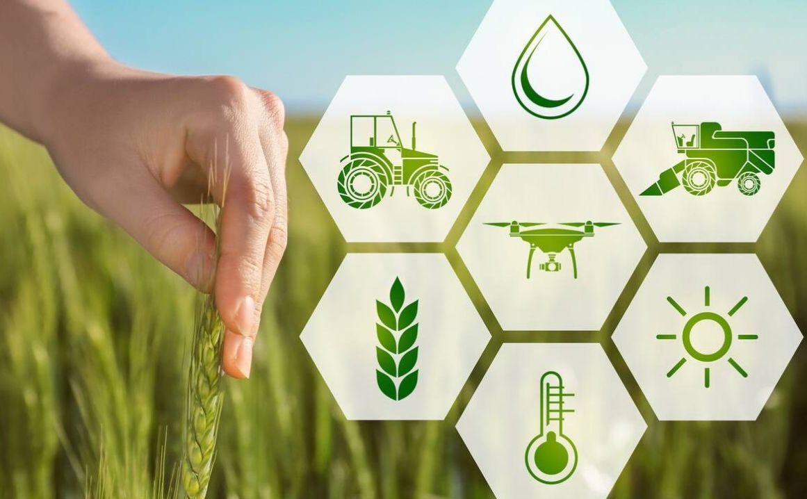 农业行业:互联网 ,让数字化助力农业现代化