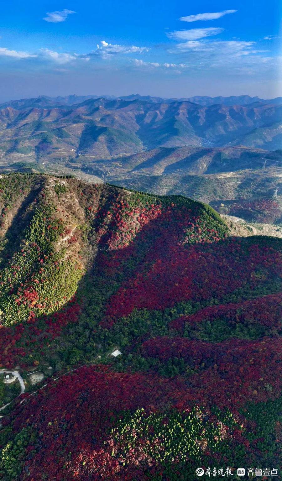 航拍济南彩石镇捎近村的红叶,漫山遍野格外耀眼