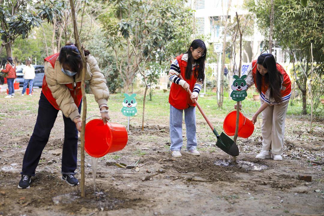 组图|江苏泰州:植绿护绿 美化家园