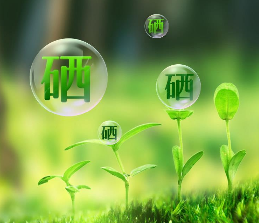 硒砂瓜年营收20多亿,为何被局部禁种?"戈壁西瓜"危害有多大?