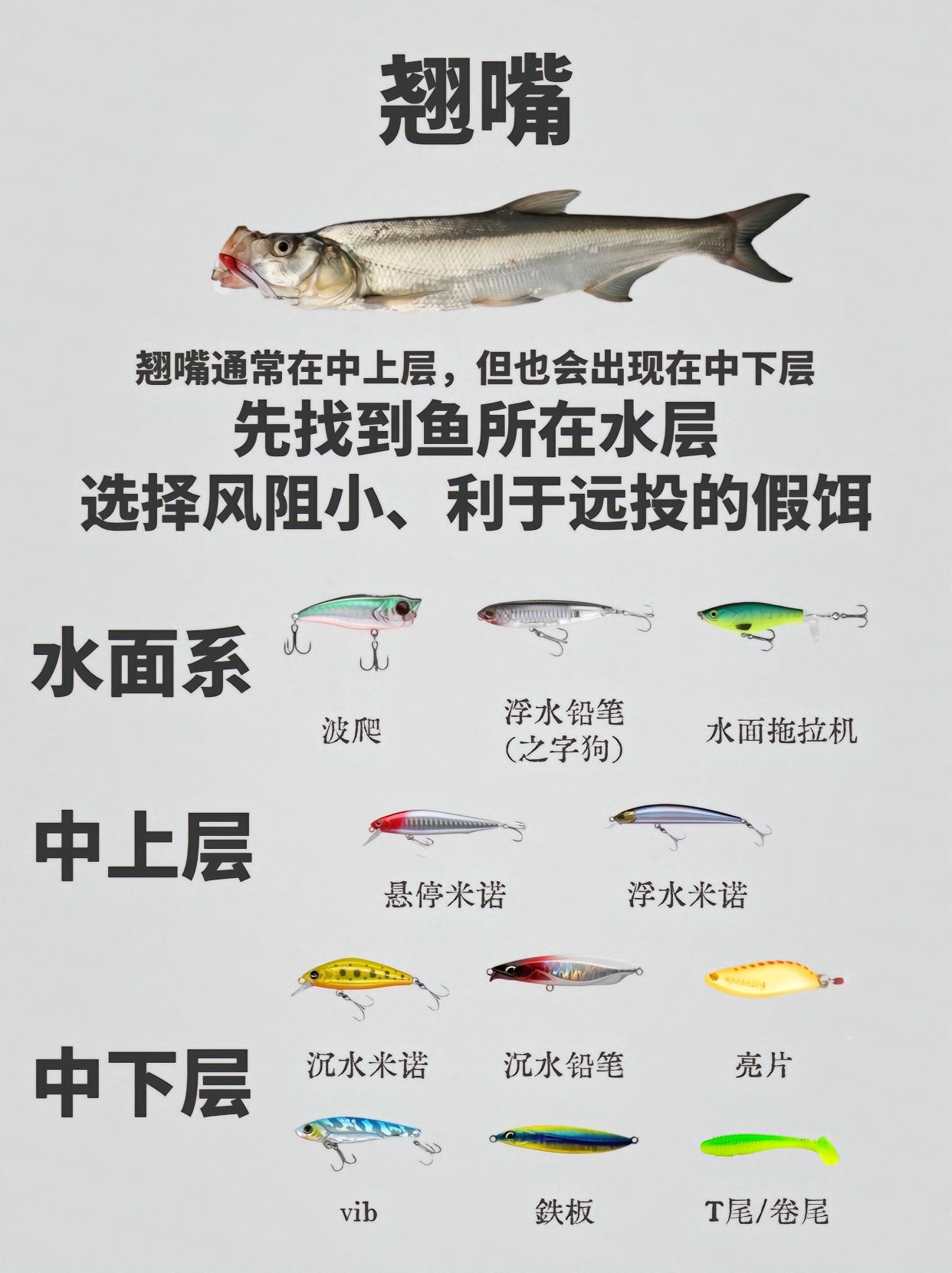 常见路亚淡水目标鱼的习性及假饵推荐!路亚新手必修课!