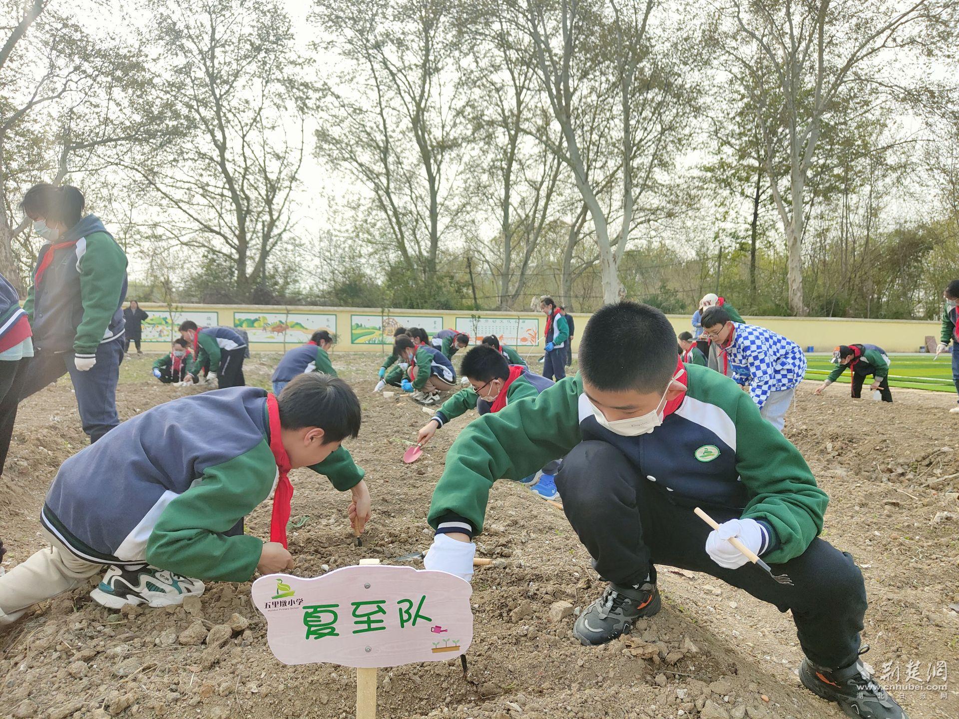 曹县五里墩小学图片