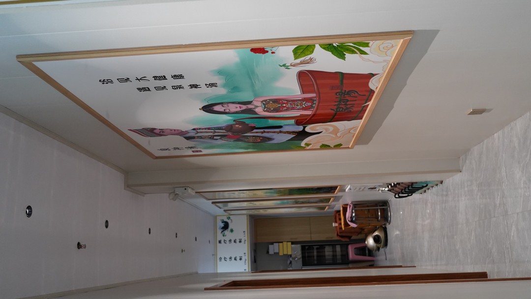 经方四象汤之朱雀汤