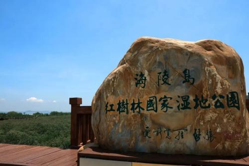 强强联合中国首艘五星旗邮轮海南离岛免税项目落地