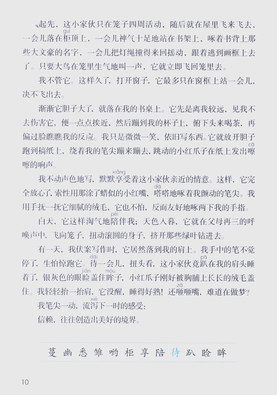 部编版五年级语文上册课文4珍珠鸟朗读及知识点详解