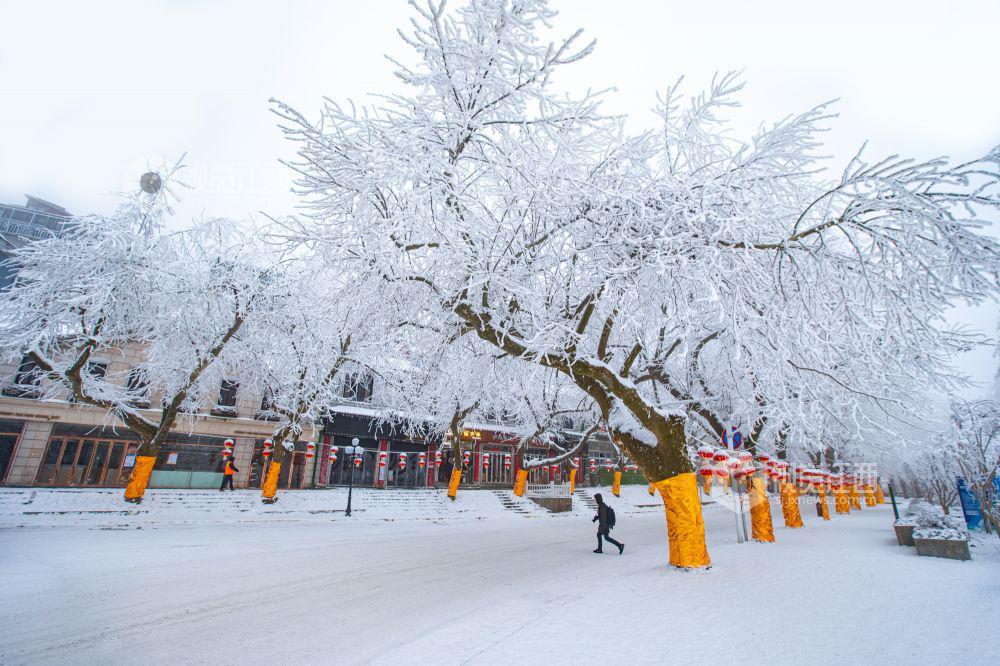 庐山雪景照片图片