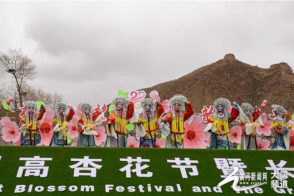 2021阳高杏花节图片