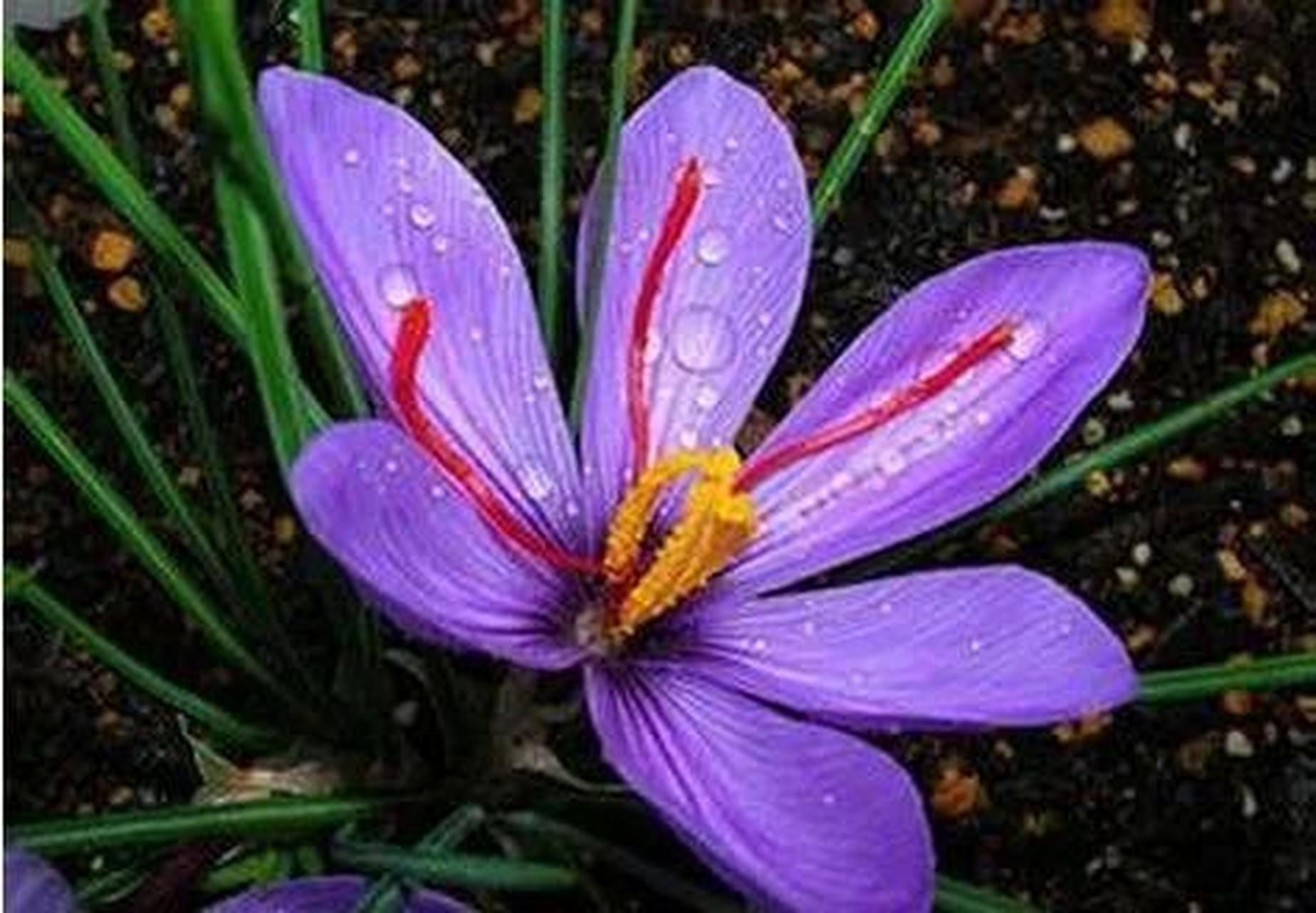 名词解释  【诊尺肤】    两手肘关节(尺泽穴)下至寸口处的皮肤,称为"