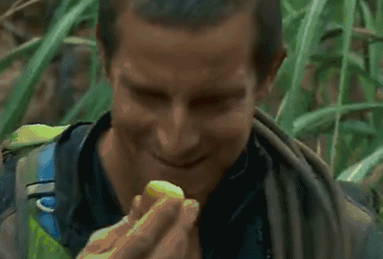 野外探险求生的贝爷