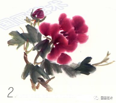 漂亮的写意牡丹花,三步画!
