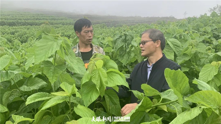 「高质量发展蹲点采访」遵义汇川区山盆镇:吐"科技丝",结"产业茧"