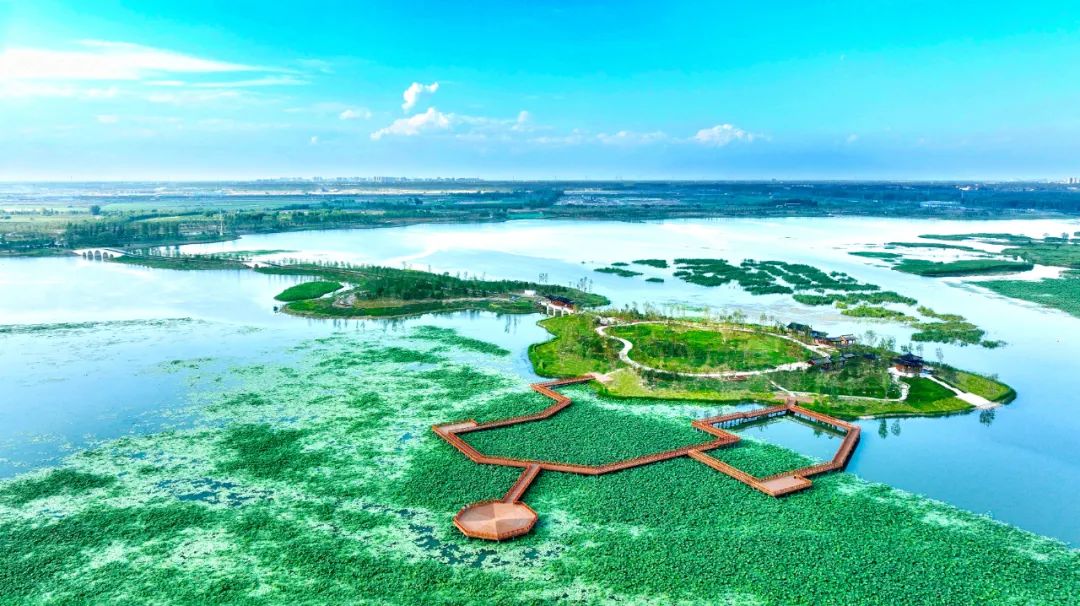 全天免费开放参观时长:30-60分钟白洋淀燕南堤位于雄安湾烧车淀范围内