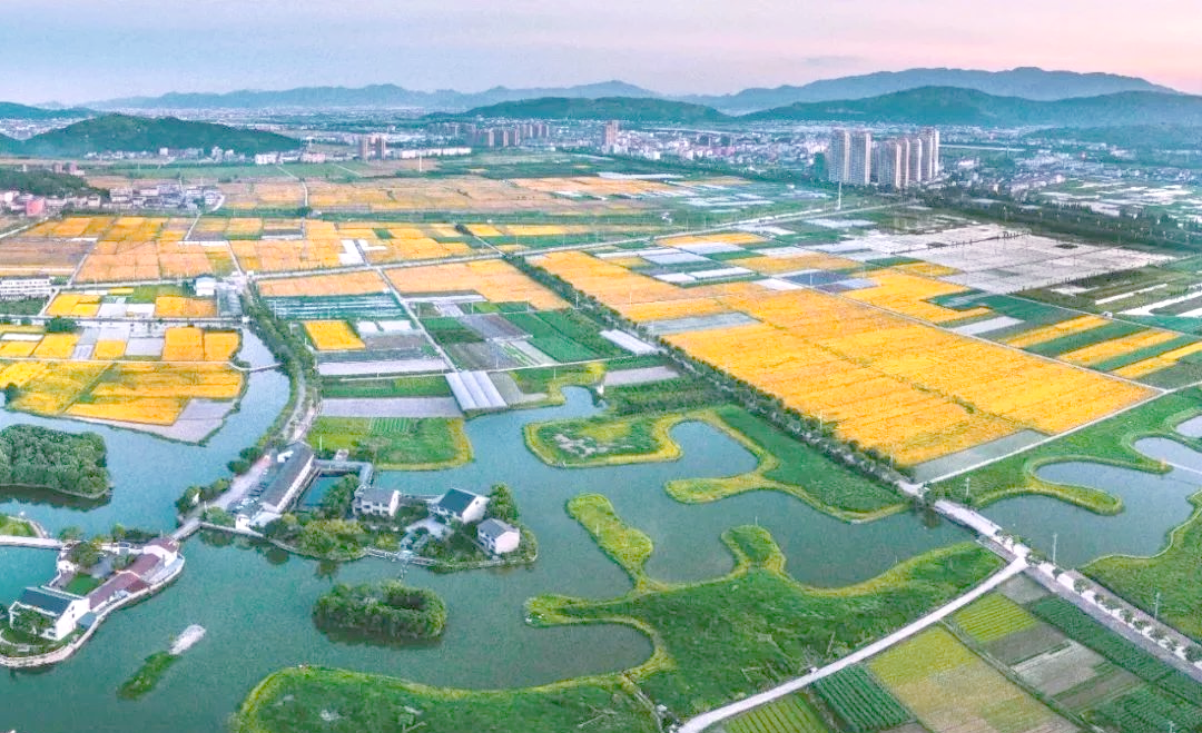 马屿镇未来15年发展规划,瑞安生态新标杆