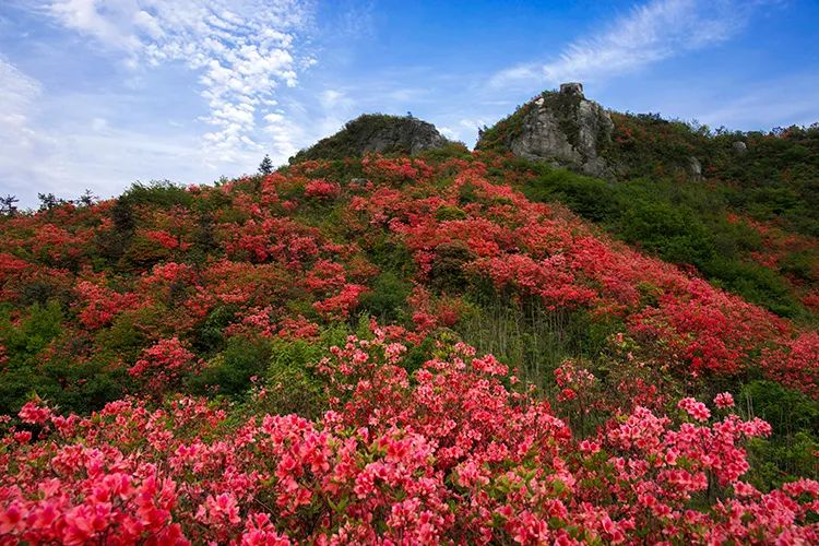 莲花石门山图片