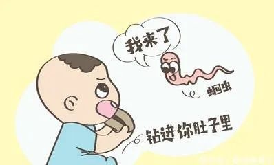 【漫话健康】人体寄生虫之蛔虫