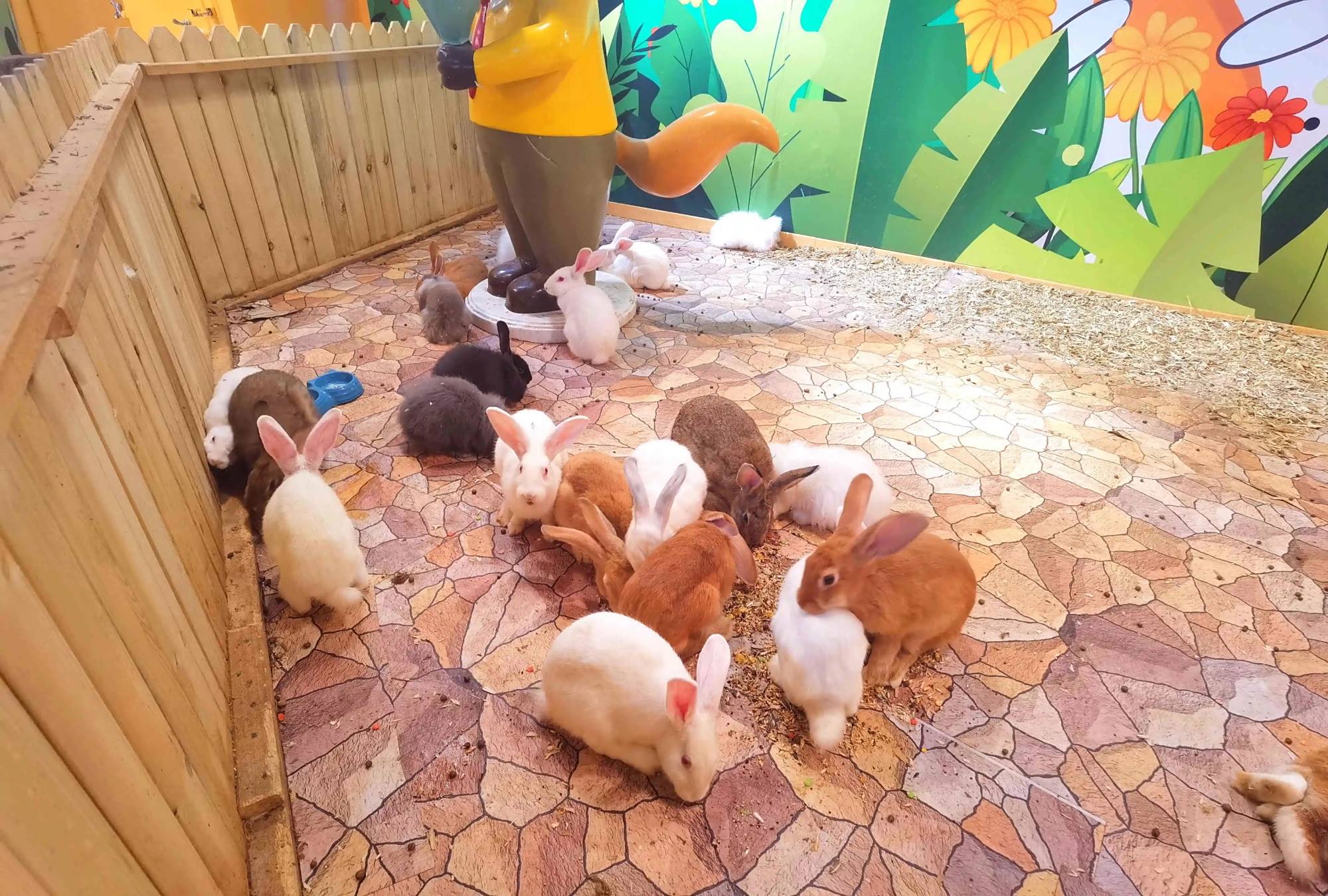 满足你小动物零距离接触海陆空超多种高端萌宠乐园以爱护动物,人与