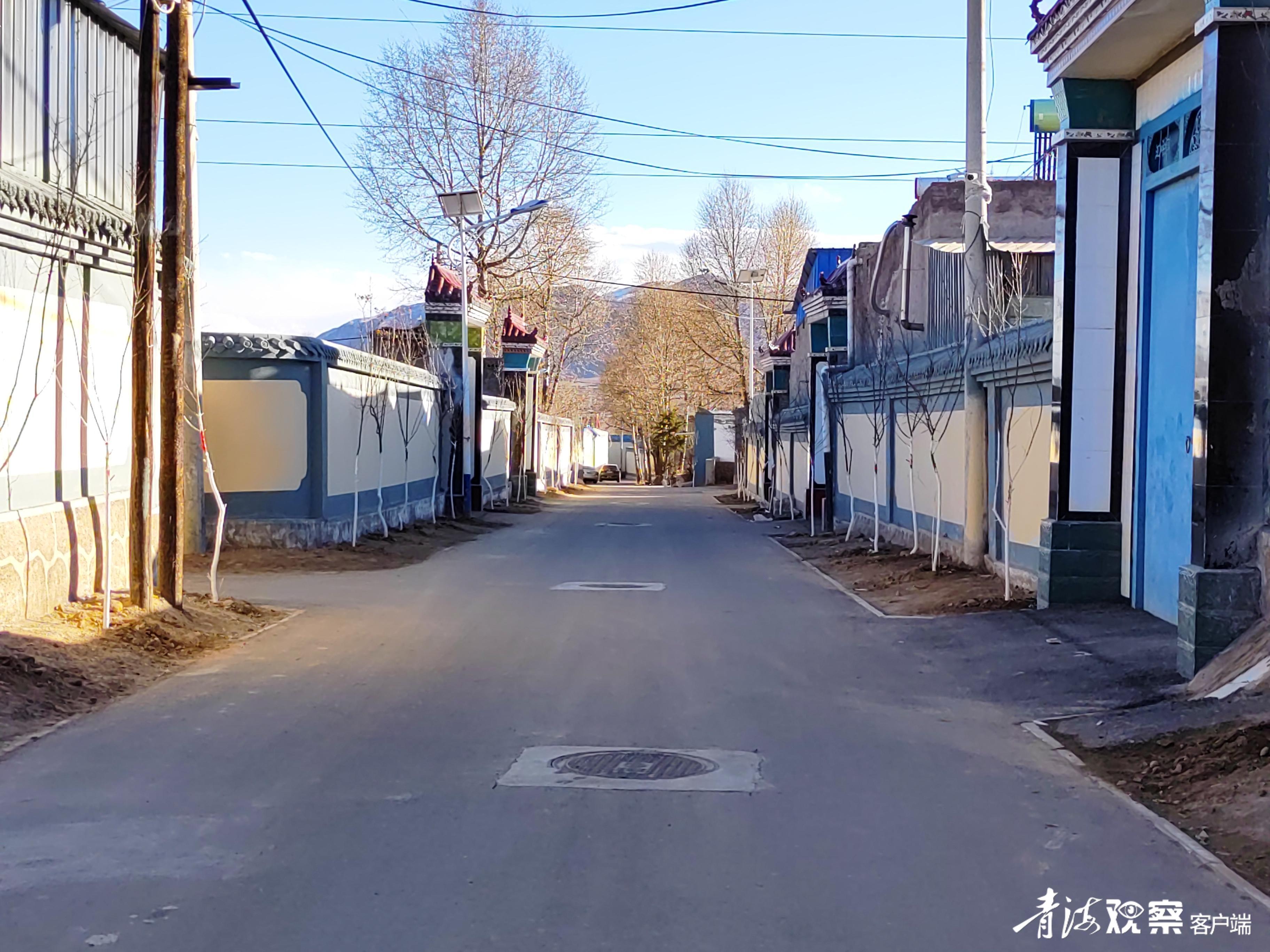 海东化隆巴燕镇:来年丁香满城香