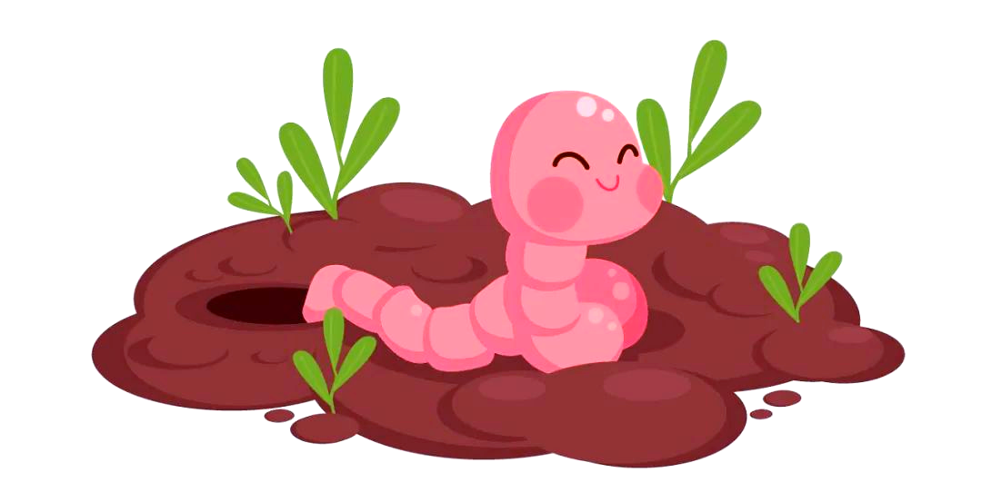 我国多地暴雨后,蚯蚓尸体频繁出现,种群数量会受影响吗?