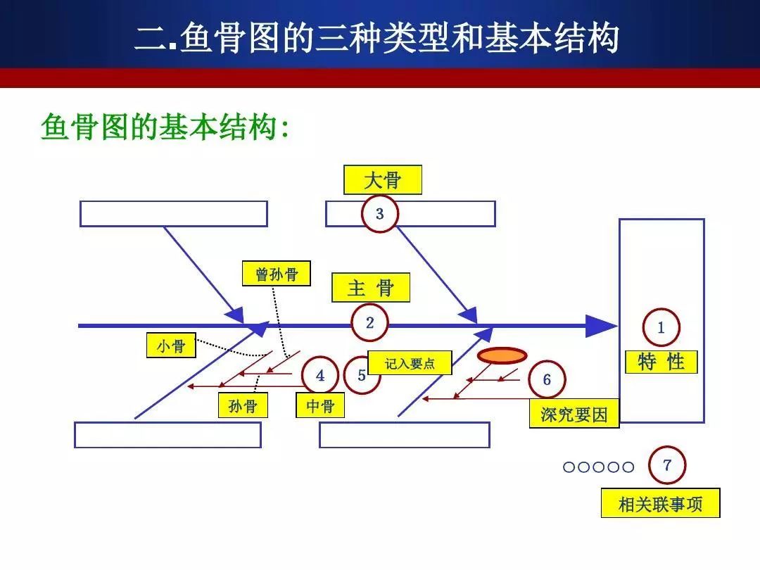 草鱼骨头结构图图片