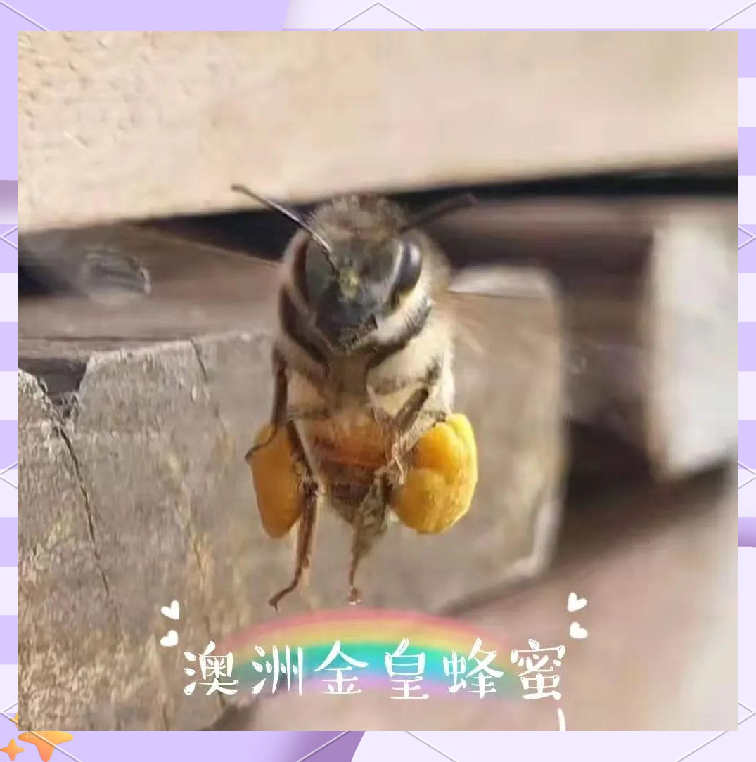 蜂蜜对老年人的好处是什么(老年人常吃蜂蜜能延年益寿吗)