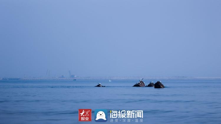 寫給春天的情書|①日照任家臺礁石公園:棲息於海 浪漫時光