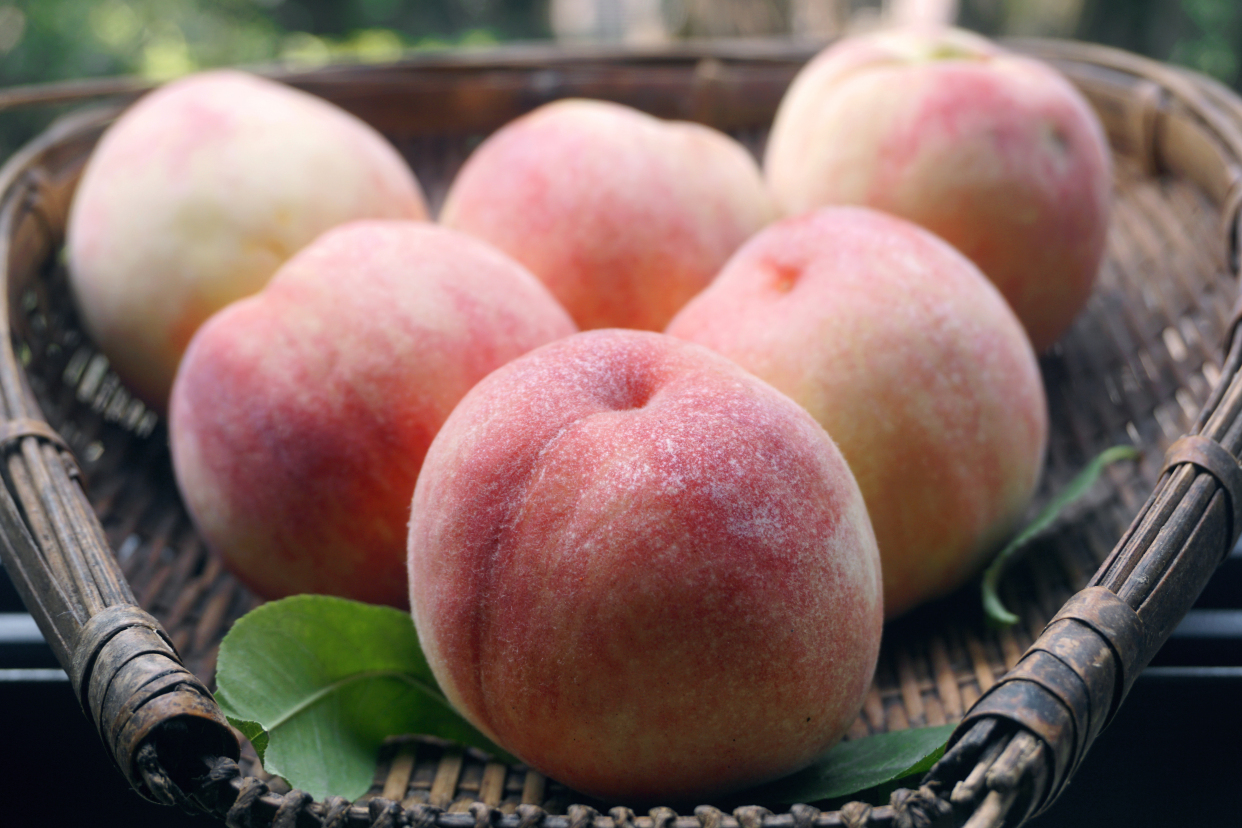 成都龙泉驿水蜜桃进入7月份,桃子上市品种和价格行情