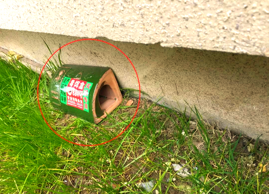 毒饵站——灭鼠的得力助手