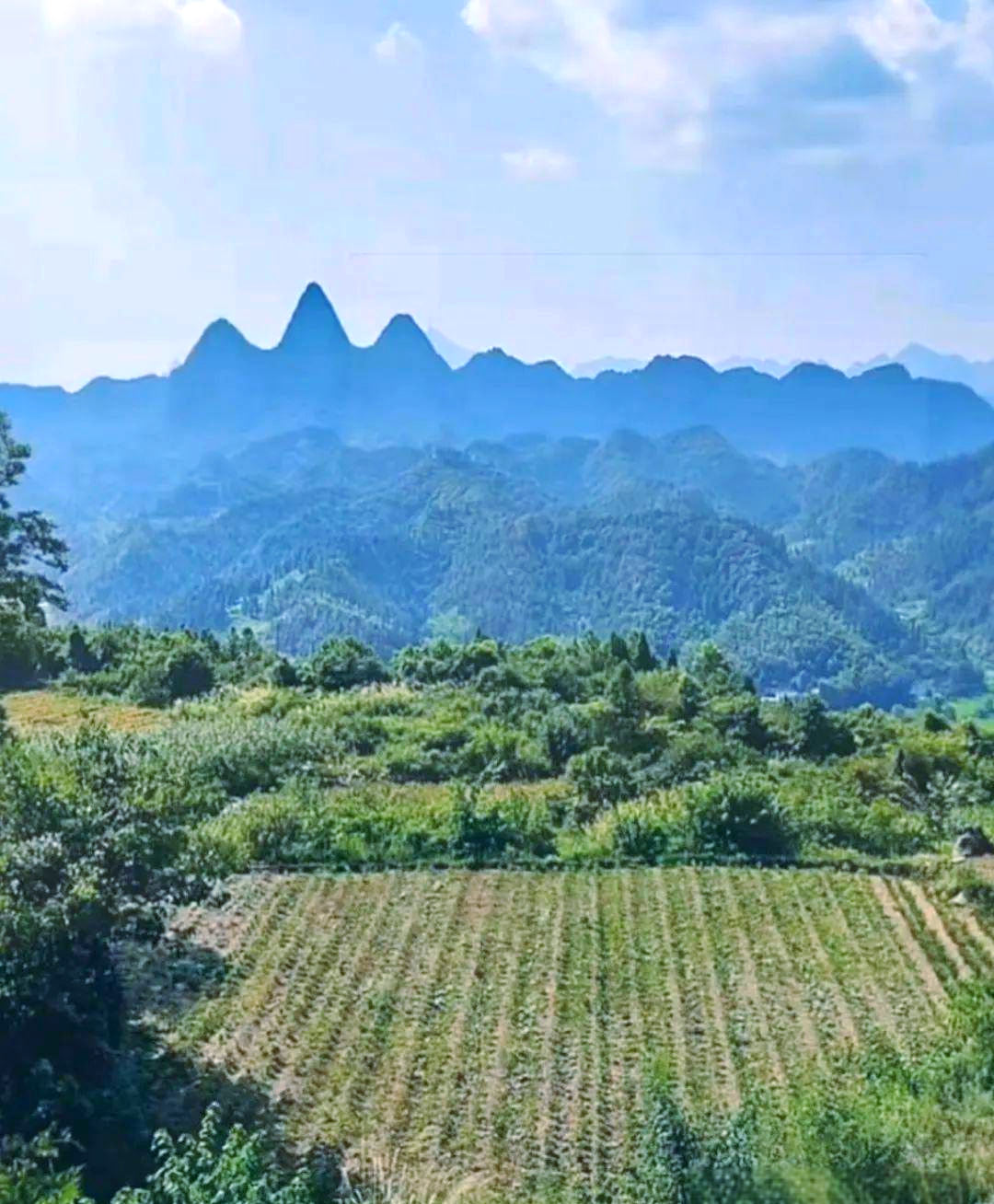 地理堪舆中的富贵朝案山特征详解