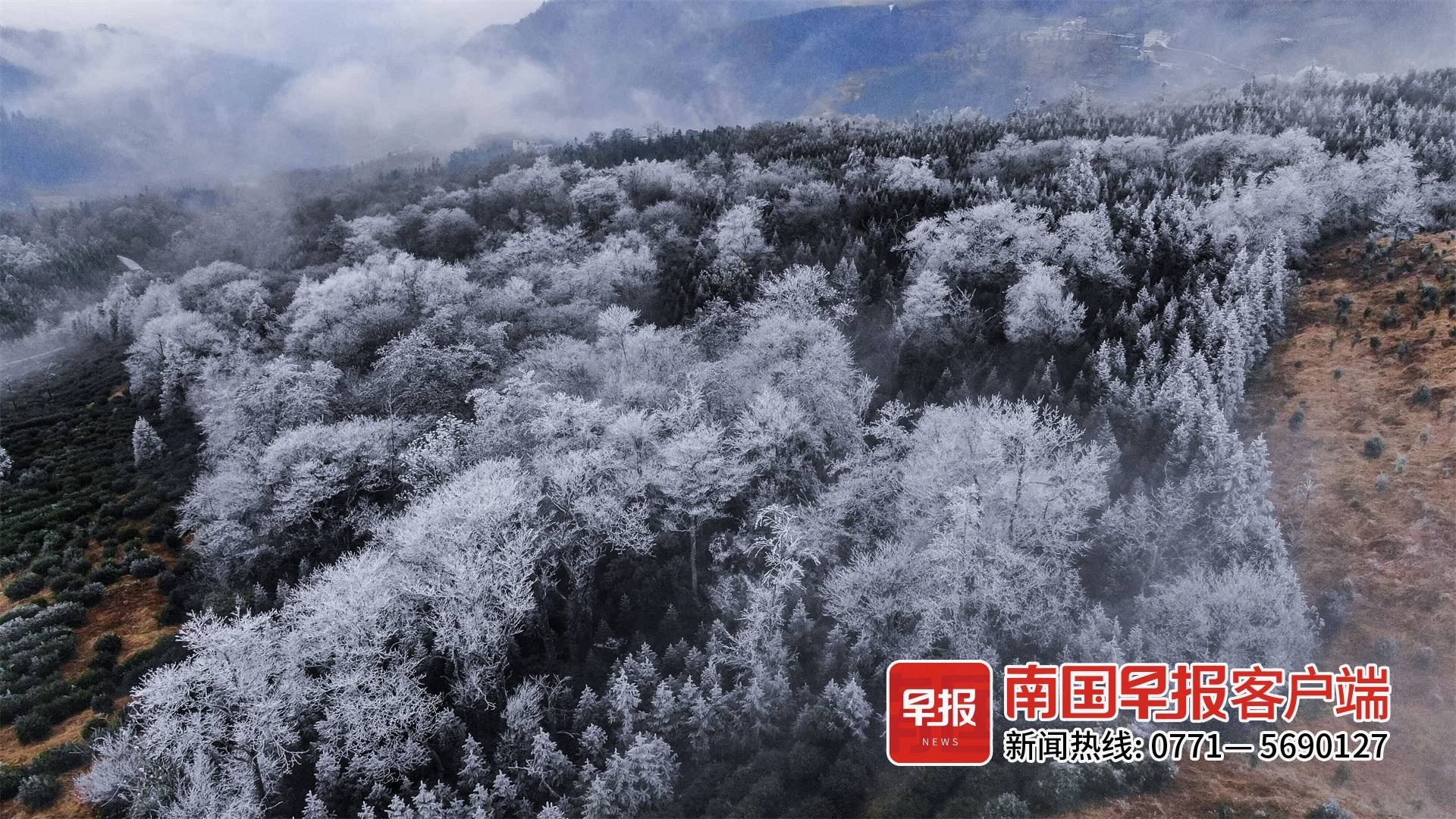 乐业雪景图片