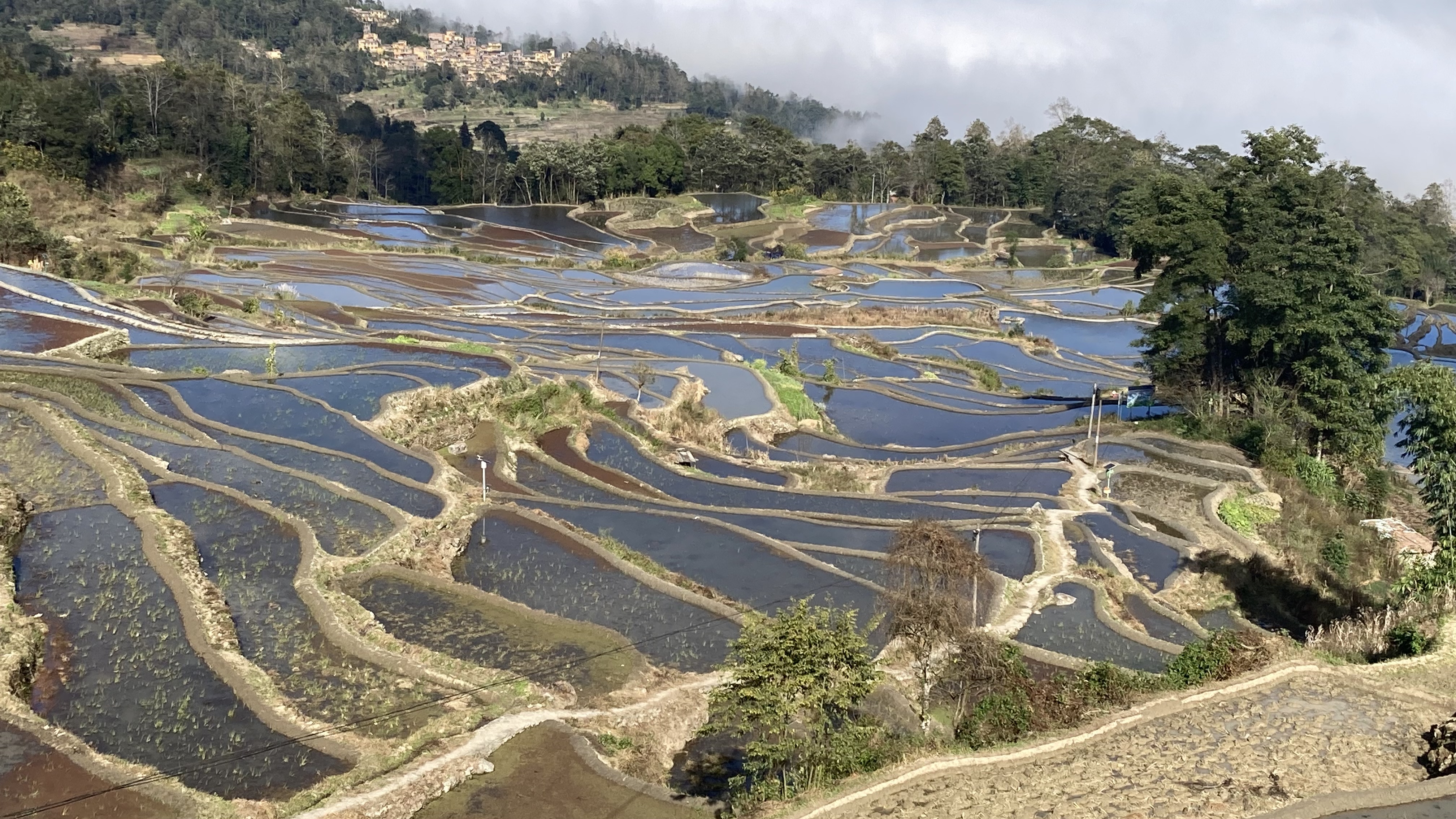 元阳哈尼梯田景区图片图片