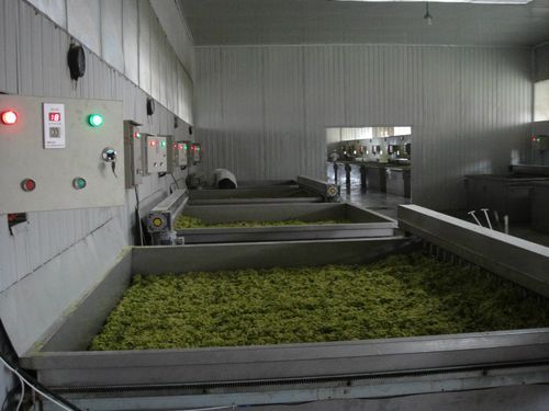 蔬菜脱水烘干机02小型家用水果蔬菜烘干设备