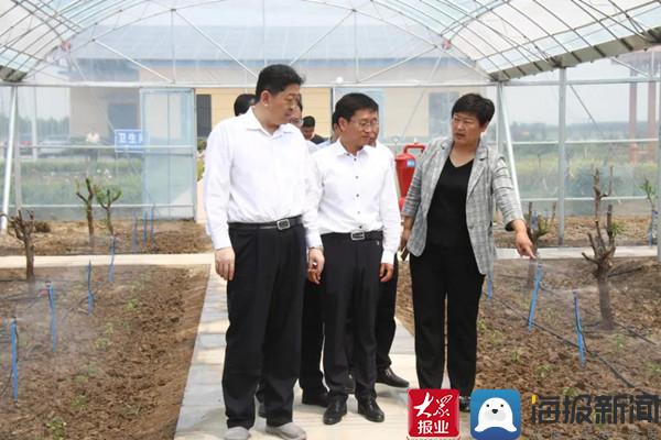 滨州市沾化区委书记袁志勇到泊头镇调研水利建设工作