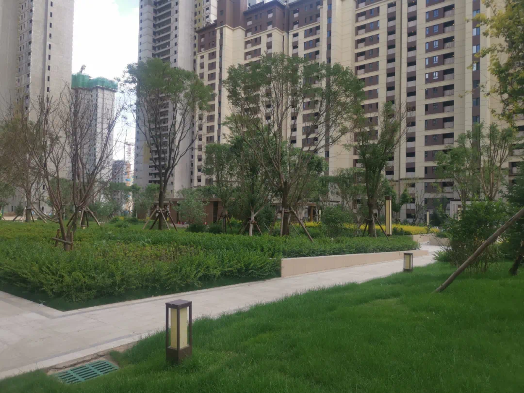 家期将至|西宁北川万达公园one一期9月15日盛装交付