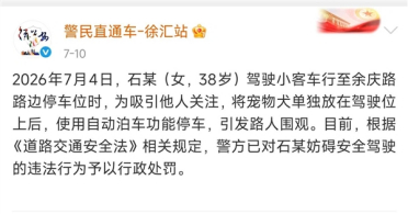女司机让狗坐主驾自动泊车 警方通报：罚200元 记3分