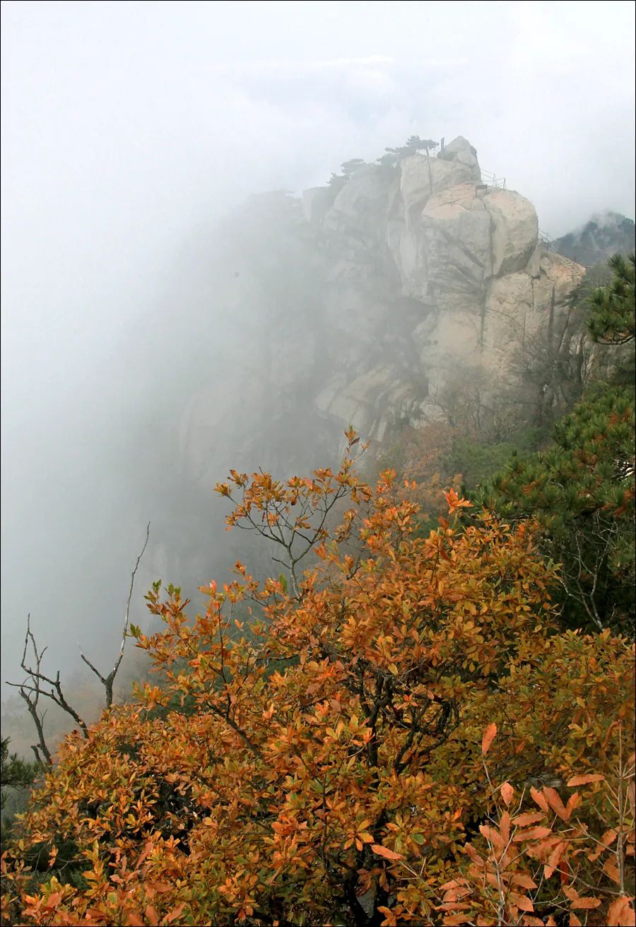 坐索道上山→出站后循左首栈道往南天门→由南天门经哲人峰,摘星峰