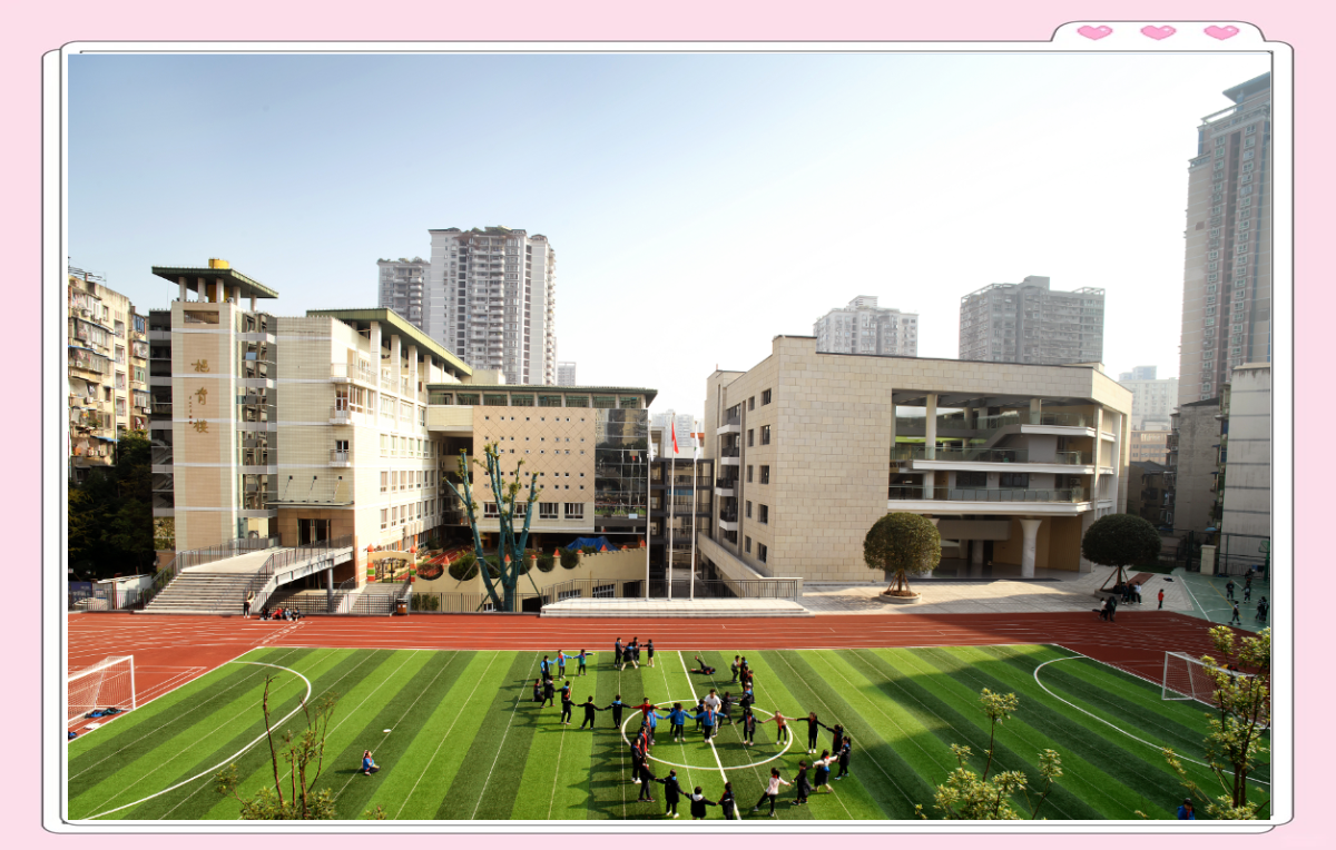 树人小学一年级新生入学详细指南