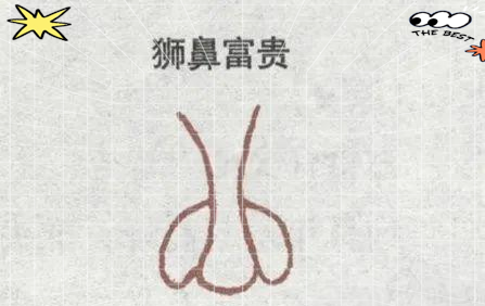 介绍一种特殊的鼻相——狮鼻