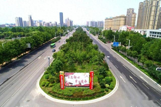 上海,杭州,南京,武汉,合肥等城市中间分车绿带树种的选择标准