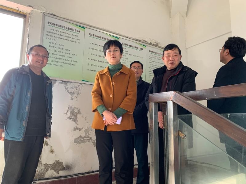 来安县级总林长杨文萍调研林长制工作