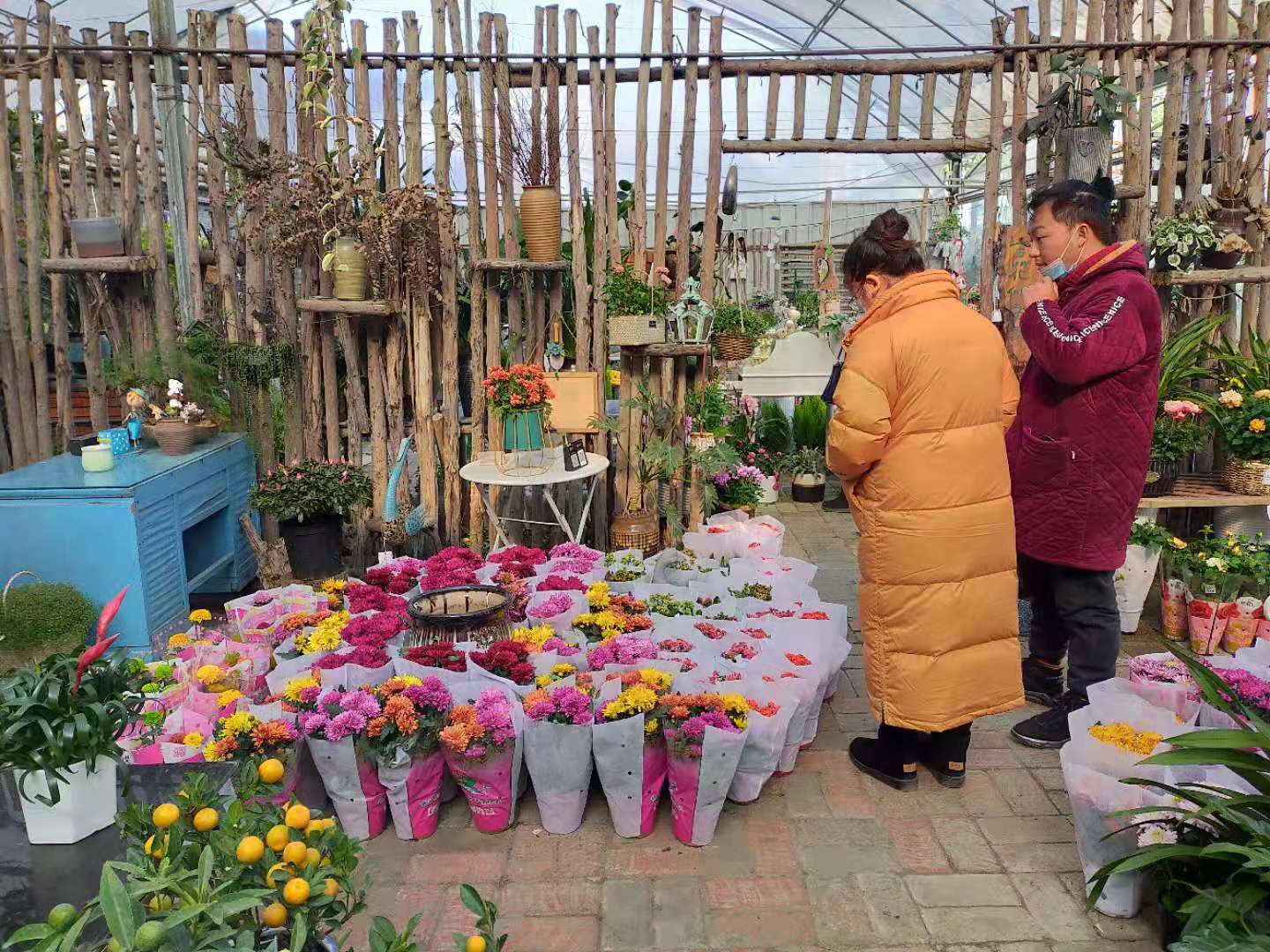 年关将至 成都温江花卉市场一片"火热"