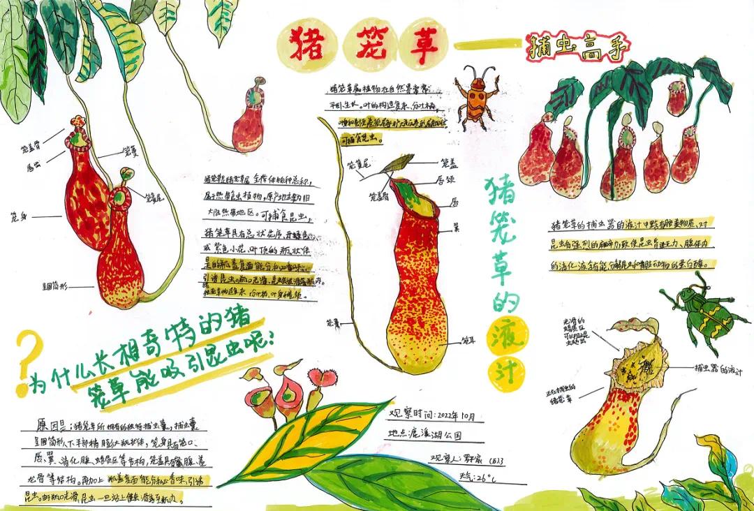 蓉遇科普·2023 | 年度科普活动 天府新区第二届"公园城市自然笔记