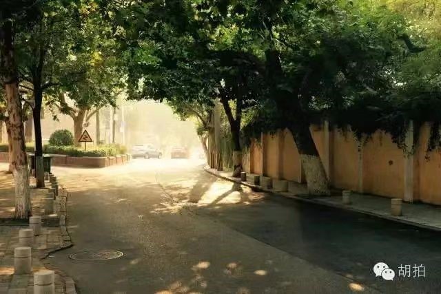 惊鸿一瞥——福山路|第九集:毛汉礼故居