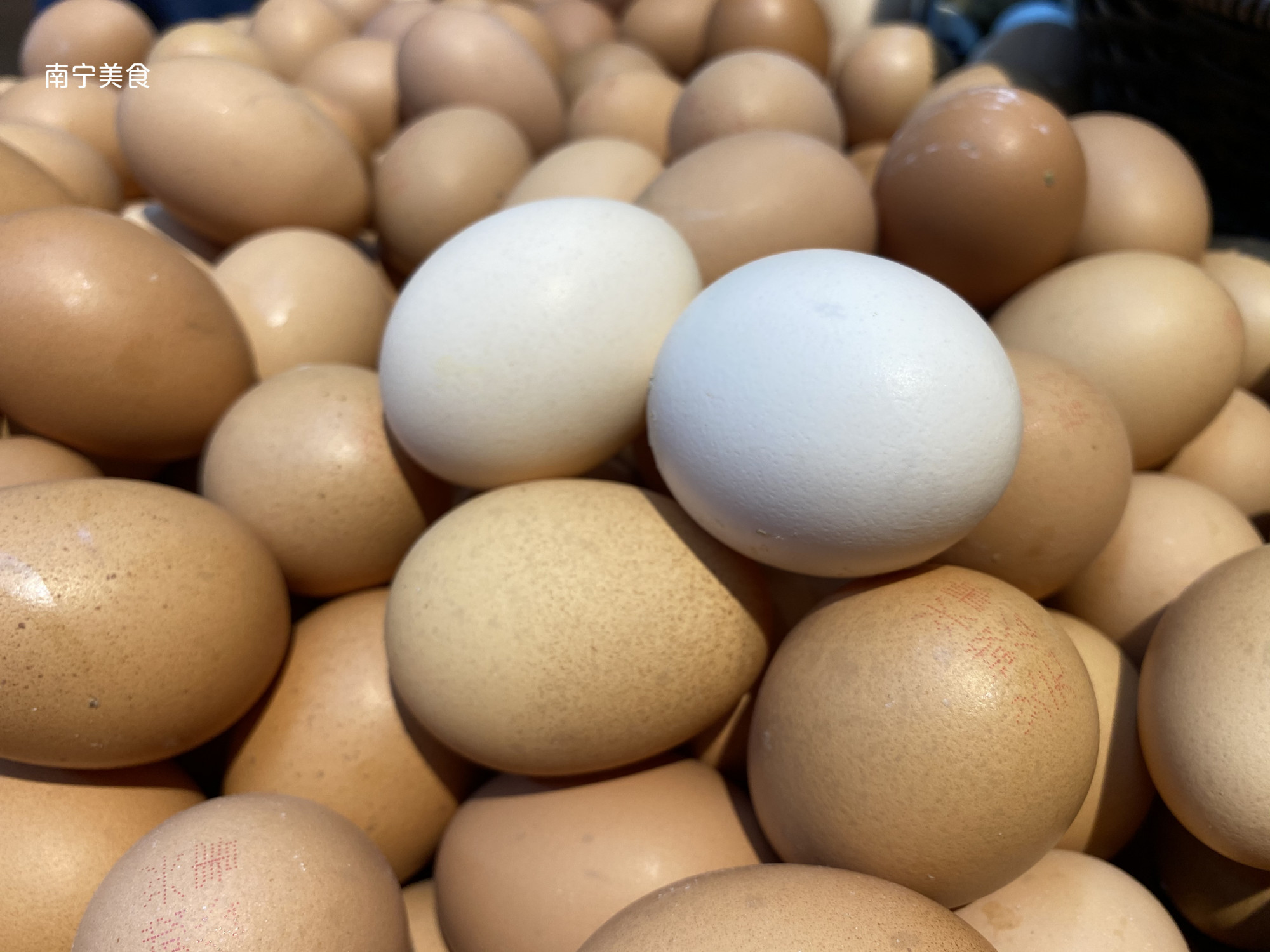 如何避免买到人造蛋?只需掌握这5个窍门,包你买不到假鸡蛋